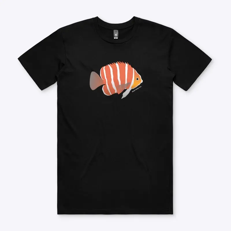 Peppermint Angelfish